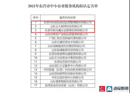东营高新区再添新翼 三家市级中小企业服务机构获认定，聚焦计算机软硬件开发与销售