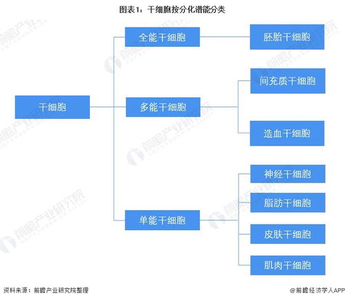 预见2022 中国干细胞医疗产业全景图谱——产业链、竞争格局与前景展望
